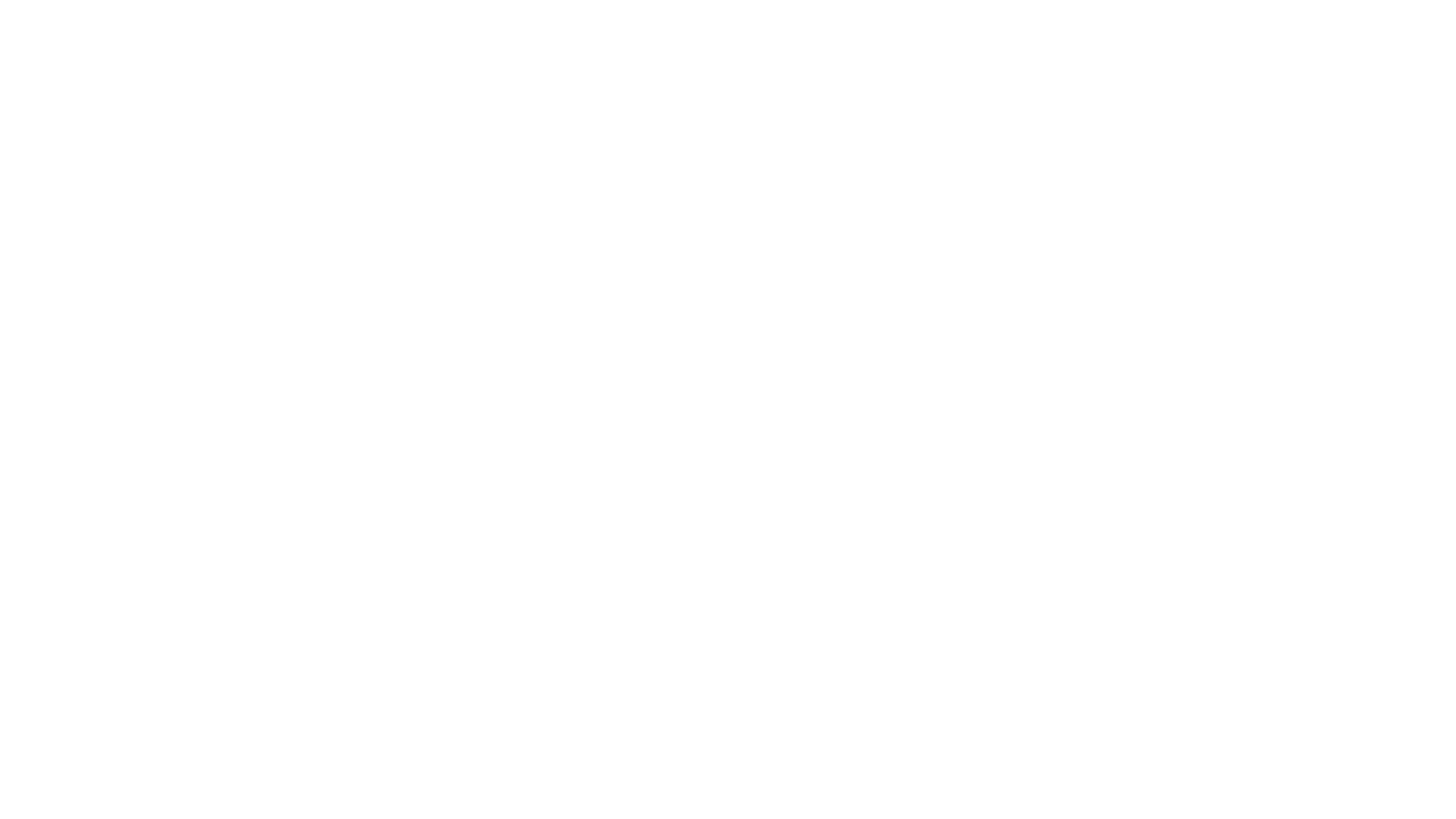 Infor logo wit