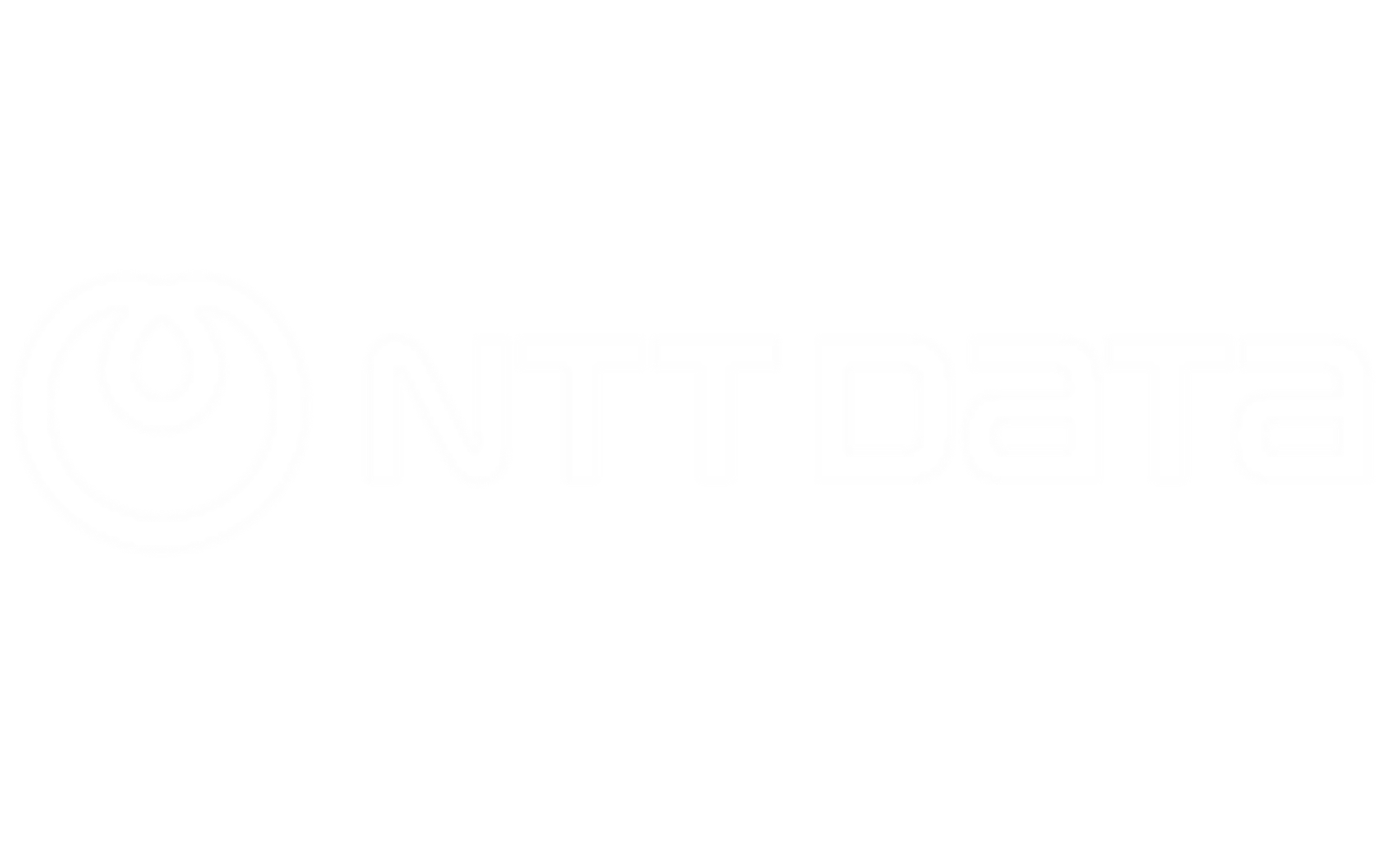 NTT DATA SINN